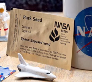 NASA envió 12.5 millones de semillas de tomate al espacio y regresaron casi seis años después